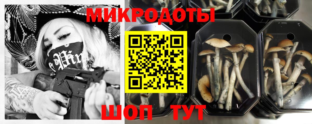 Городец  Псилоцибиновые грибы Psilocybine cubensis  купить наркоту  Вход с VPN 