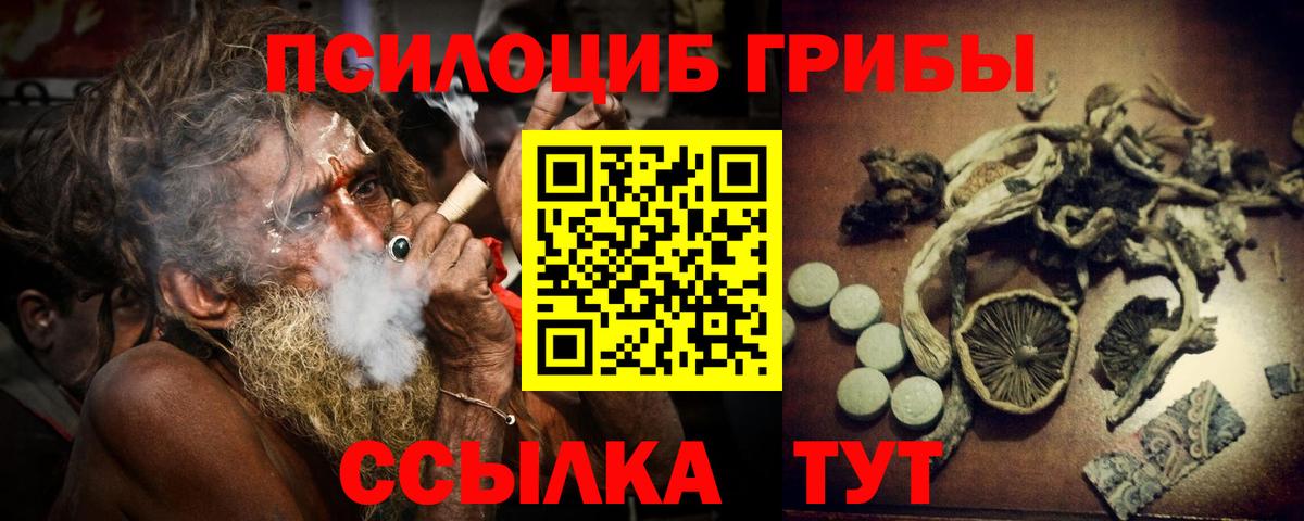 Псилоцибиновые грибы Psilocybe Городец
